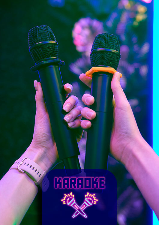 plantilla-carrusel-miroko-park-2-karaoke